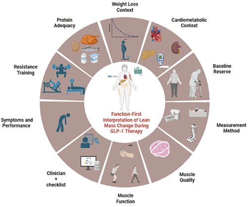 Glucagon-like peptide-1 receptor agonists and muscle: interpreting lean mass changes in clinical care | Global Cardiology Glucagon-like peptide-1 receptor agonists and muscle: interpreting lean mass changes in clinical care | Global Cardiology